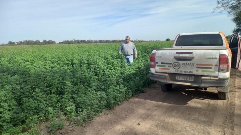 Investigadores impulsan la innovación forrajera con el lanzamiento de Munay y Yachay