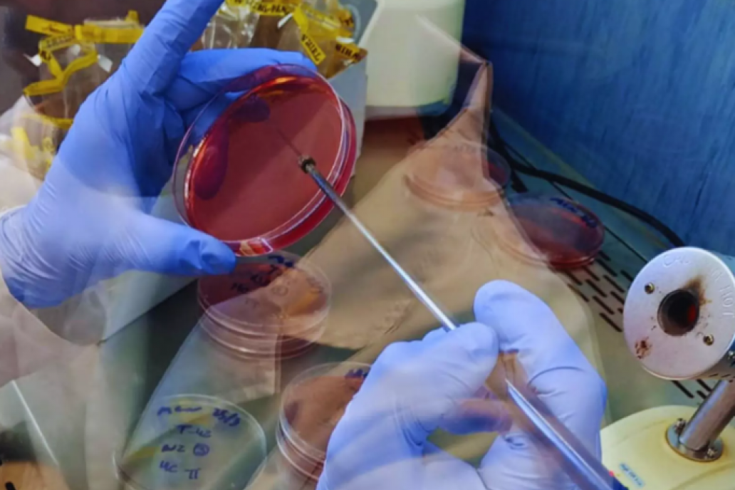 Entre Ríos suma calidad de análisis para su cadena avícola