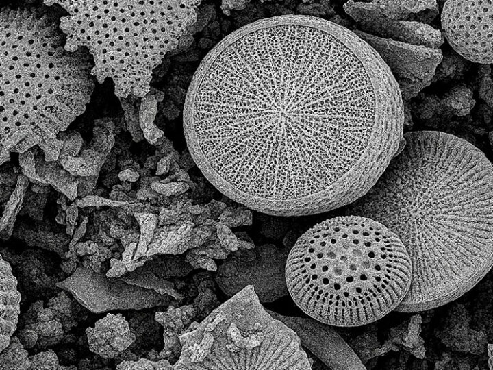 Desarrollan un dispositivo de uso doméstico para remover micro y nanoplásticos del agua