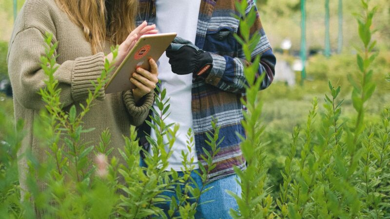 Análisis de datos aplicados al agro