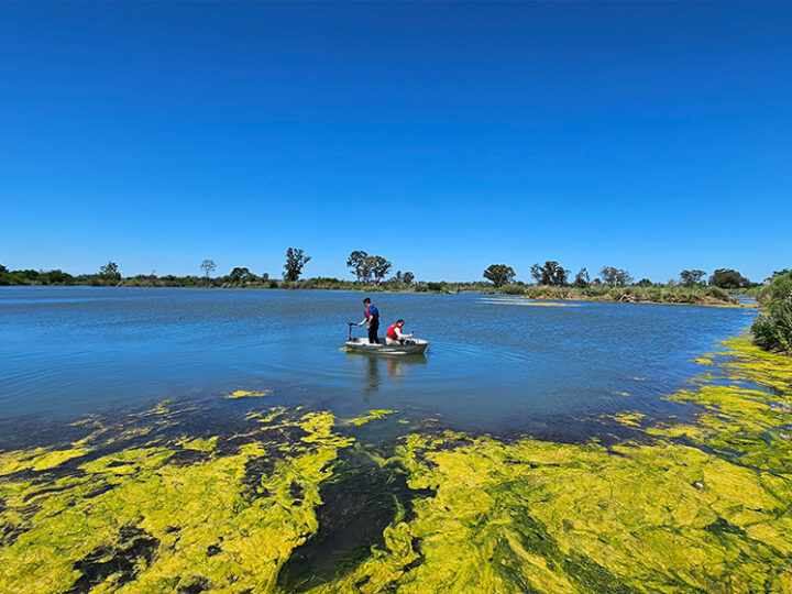 Canteras abandonadas: estudian sus características para la cría de peces