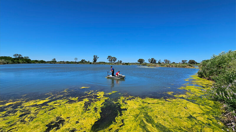 Canteras abandonadas: estudian sus características para la cría de peces