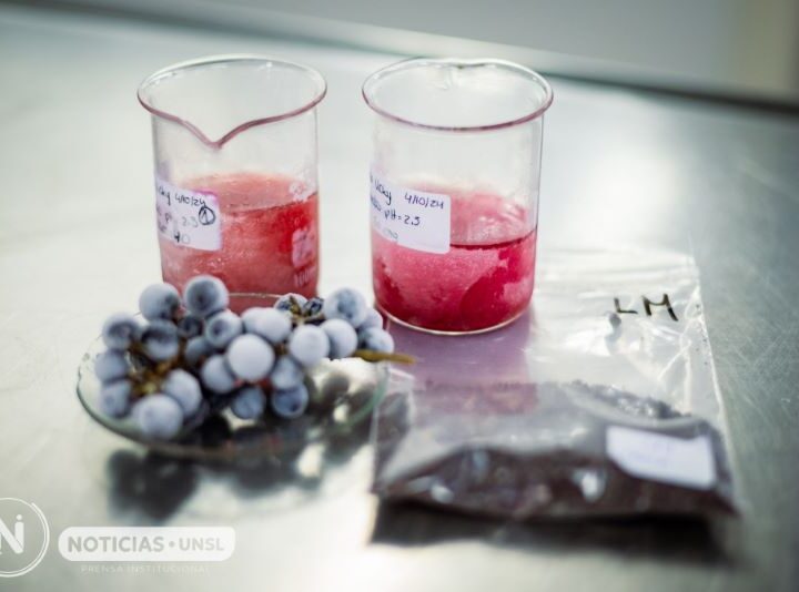 Reutilización de la uva en la elaboración de gomitas comestibles