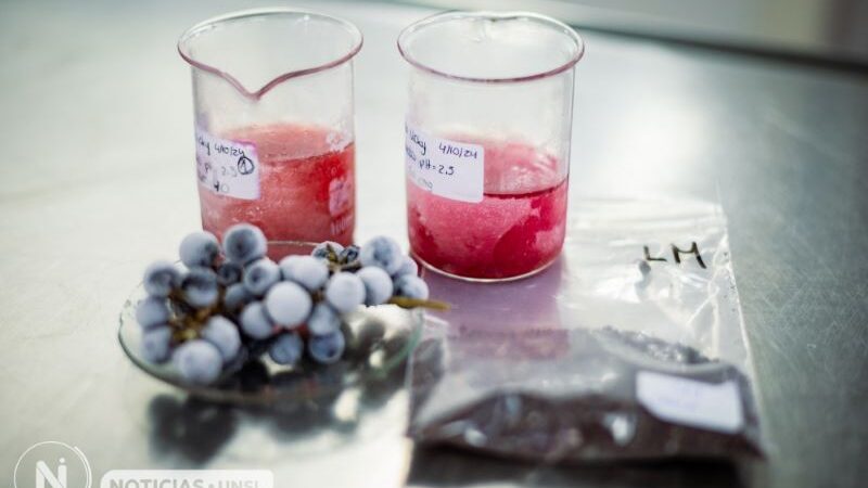 Reutilización de la uva en la elaboración de gomitas comestibles