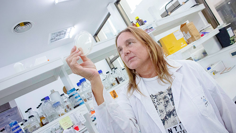 Tuberculosis: investigaciones científicas que hacen frente a un problema de salud global