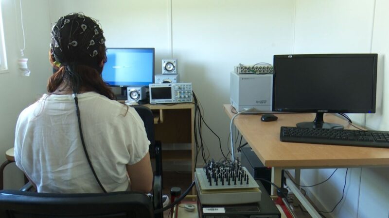 Del laboratorio al territorio: impulso a la producción regional desde la universidad