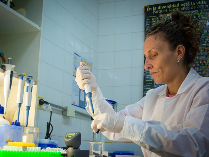 ADN y biodiversidad: contribuciones de la biología molecular a la investigación actual 