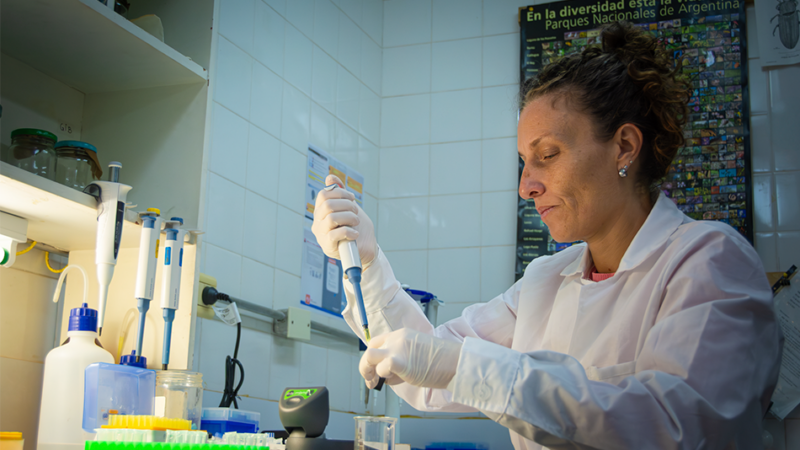 ADN y biodiversidad: contribuciones de la biología molecular a la investigación actual 
