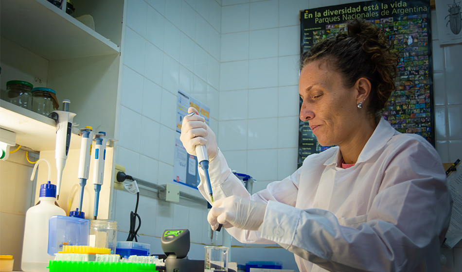 ADN y biodiversidad: contribuciones de la biología molecular a la investigación actual 