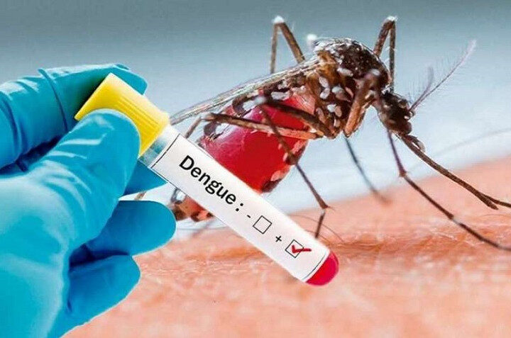 Dengue y cambio climático: construir políticas públicas sostenibles