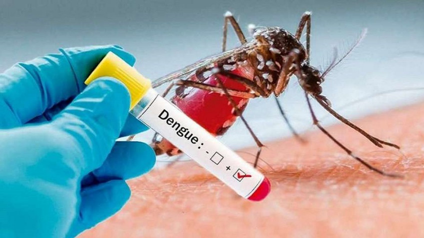 Dengue y cambio climático: construir políticas públicas sostenibles