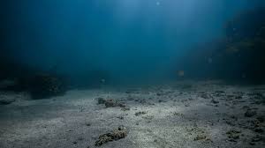 Comunicar ciencia desde el fondo del mar