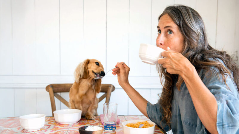 Humanizar mascotas: ¿buena práctica o exceso emocional?