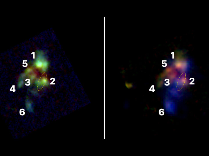 Observan el proceso de fusión de galaxias que dio origen a las más masivas del Universo