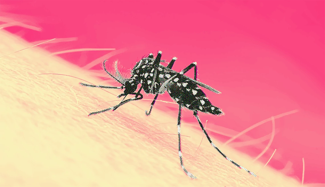 Cambio climático y dengue: un desafío permanente para Santa Fe