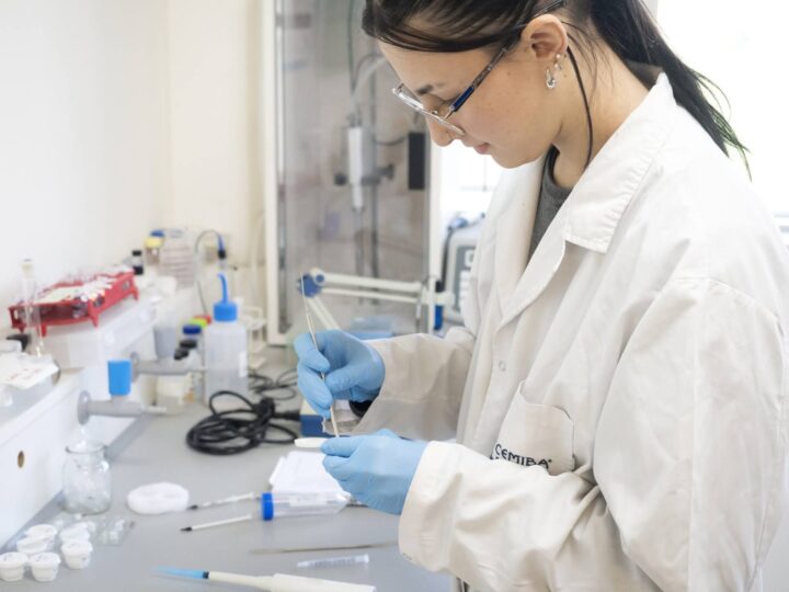Investigadores avanzan en el desarrollo de una pasta para regeneración de huesos