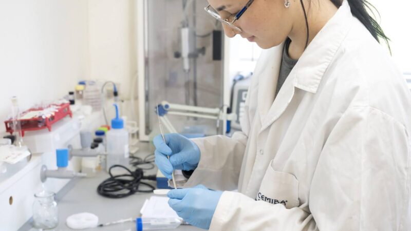 Investigadores avanzan en el desarrollo de una pasta para regeneración de huesos
