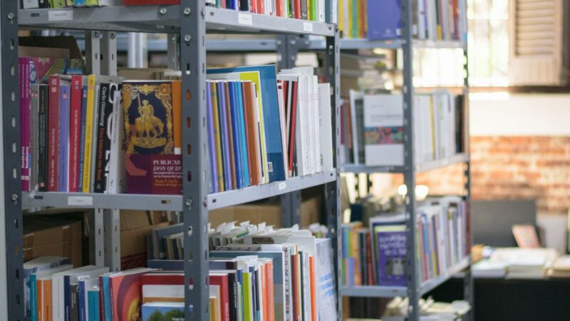 La derogación de la Ley del Libro: una amenaza a la bibliodiversidad argentina