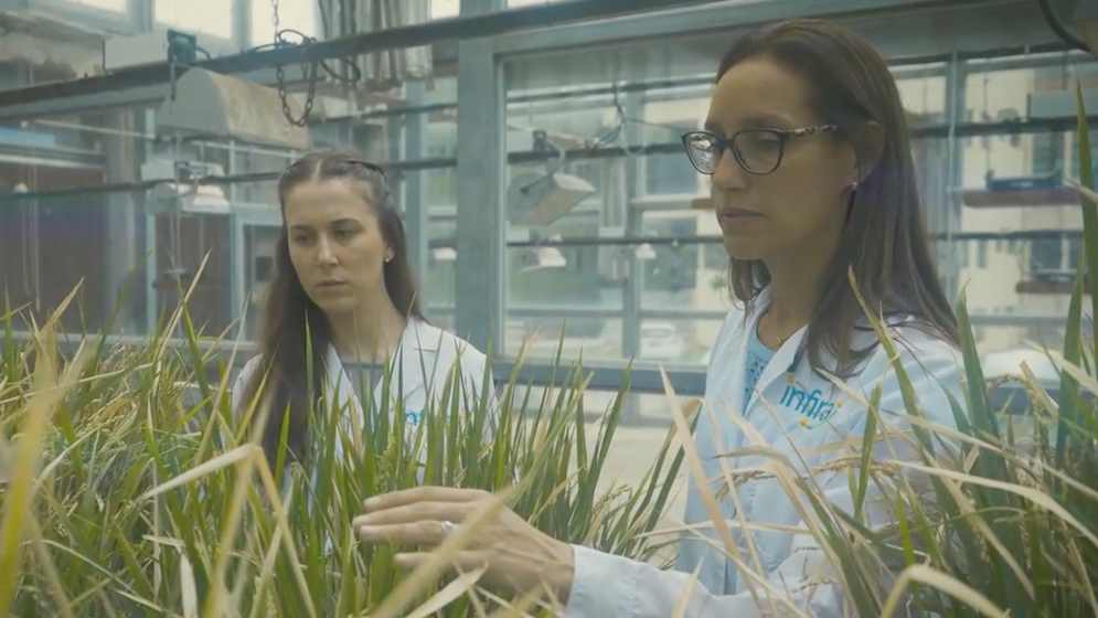 Científica santafesina fue distinguida como emprendedora a nivel mundial