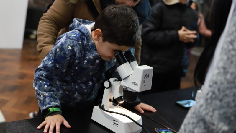 La ciencia también es cosa de las infancias