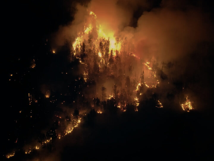 “Incendios Forestales en la Patagonia”: una producción audiovisual con mirada científica