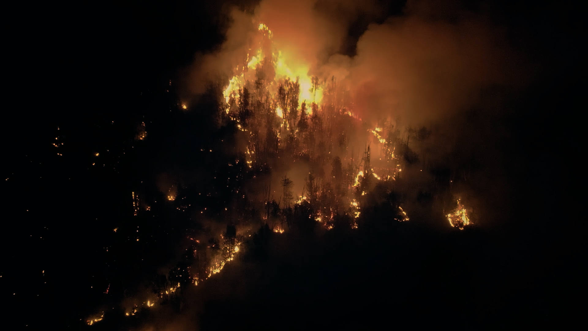 “Incendios Forestales en la Patagonia”: una producción audiovisual con mirada científica