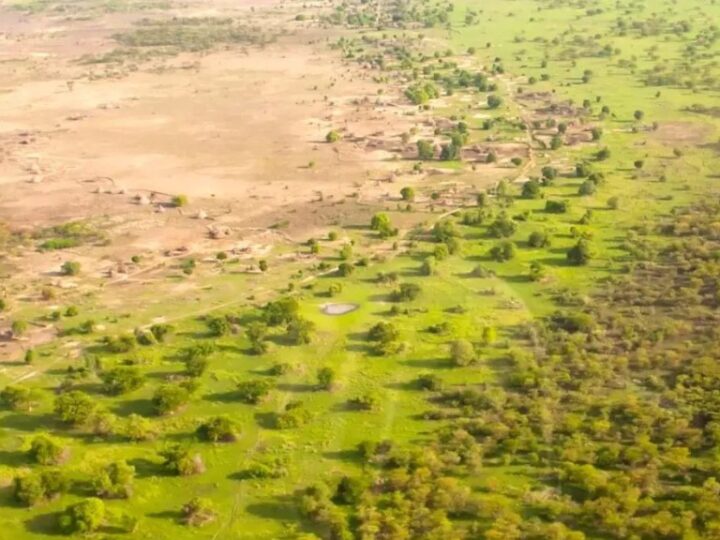 El megaproyecto en África para frenar la desertificación