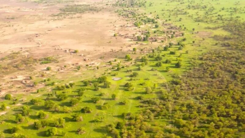 El megaproyecto en África para frenar la desertificación