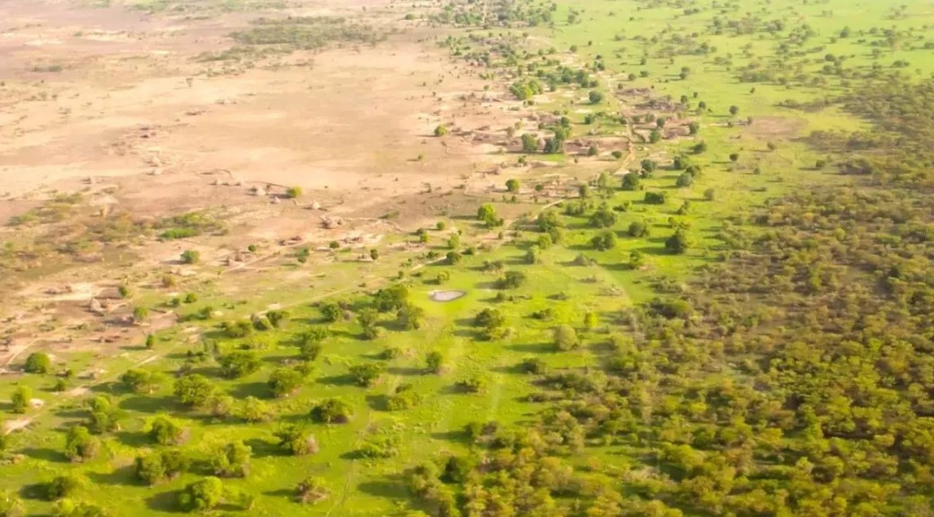 El megaproyecto en África para frenar la desertificación