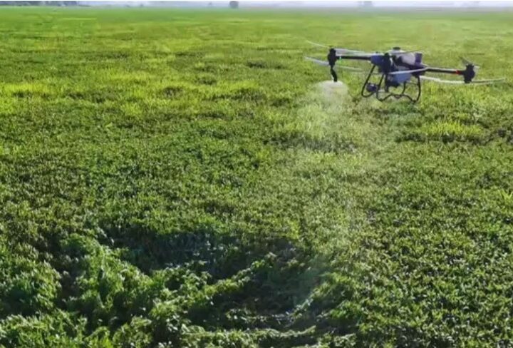 El agro mira el campo desde el aire: cómo los drones cambian la agricultura