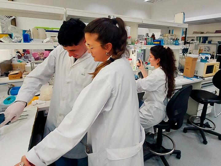 Avanzan en el diseño de un test rápido y económico para la detección temprana del dengue