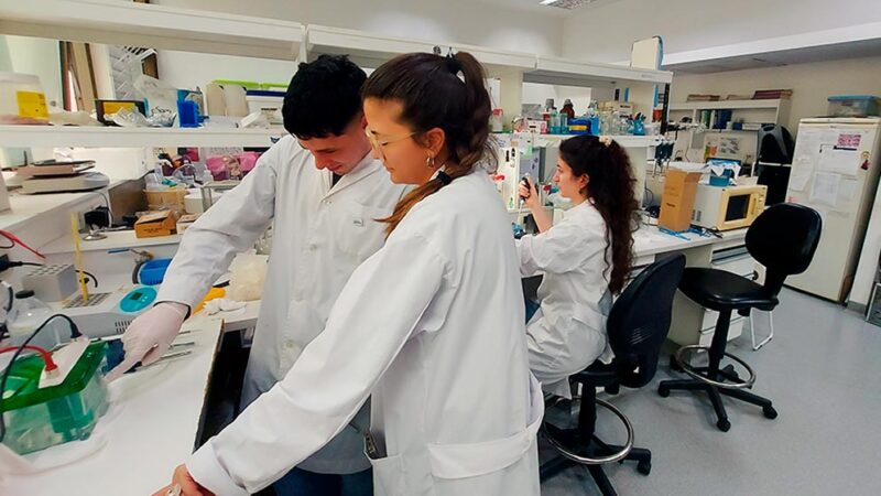 Avanzan en el diseño de un test rápido y económico para la detección temprana del dengue