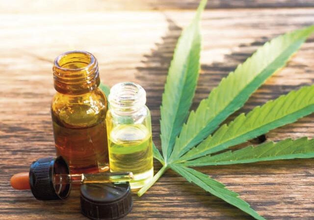 Entre el derecho y el estigma: las disputas de sentido sobre el cannabis