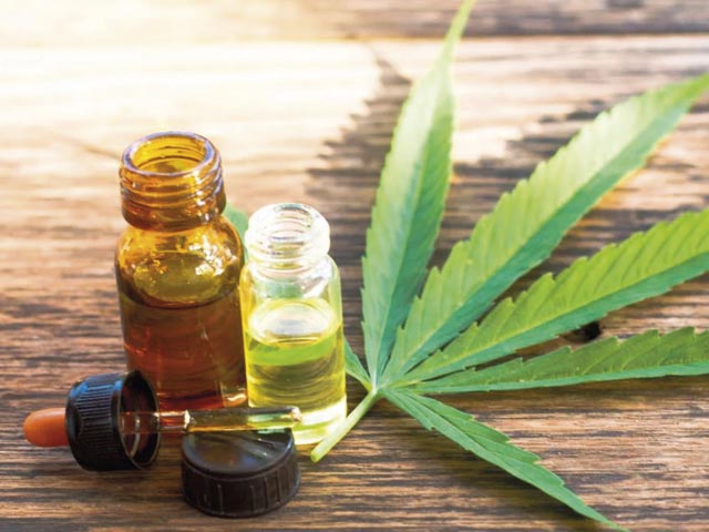 Entre el derecho y el estigma: las disputas de sentido sobre el cannabis