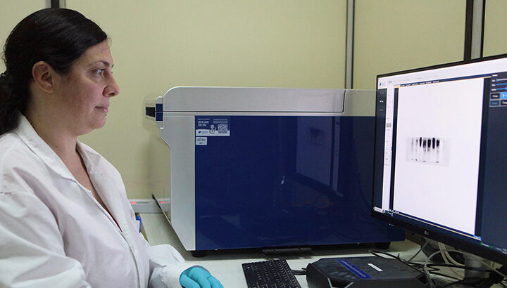 Desarrollan una herramienta capaz de predecir la respuesta a tratamientos contra el cáncer
