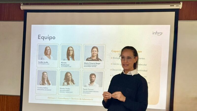 Del laboratorio al campo: ciencia y desarrollo de cultivos perennes