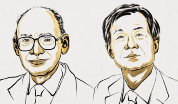 Qué es el misterio de las asimetrías de la naturaleza por el que dos investigadores ganaron el Nobel de Química