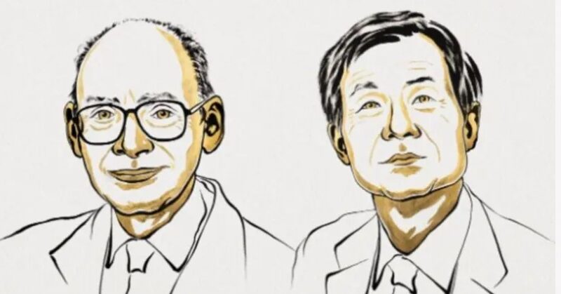 Qué es el misterio de las asimetrías de la naturaleza por el que dos investigadores ganaron el Nobel de Química