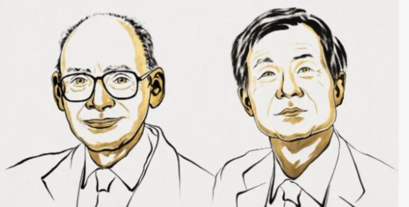 Qué es el misterio de las asimetrías de la naturaleza por el que dos investigadores ganaron el Nobel de Química